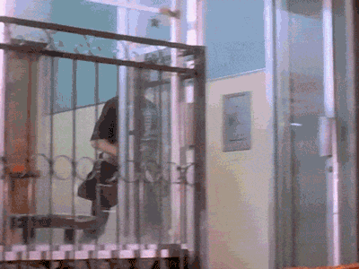 These GIFS Just Want You To Deal With It (32 gifs)