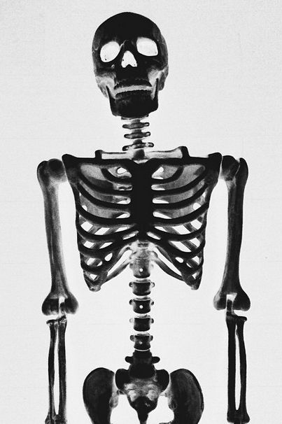 This Skeleton Represents Every Girl On Instagram (29 pics)