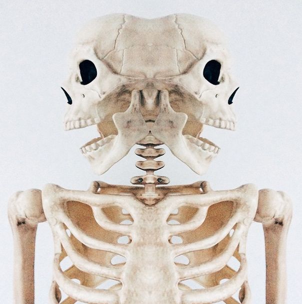 This Skeleton Represents Every Girl On Instagram (29 pics)
