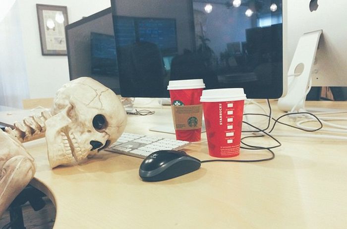 This Skeleton Represents Every Girl On Instagram (29 pics)