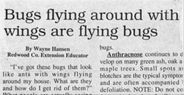 How Is This News? (20 pics)