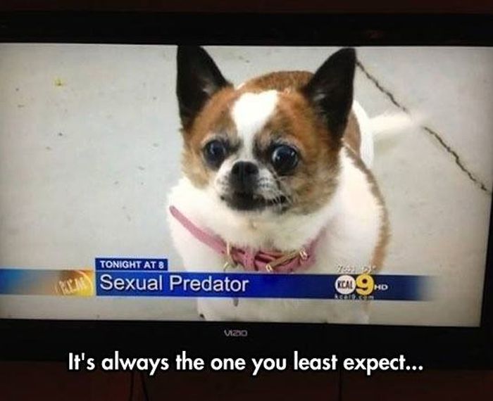 How Is This News? (20 pics)