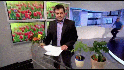 The 22 Most Embarrassing Moments To Happen On Live TV (22 gifs)