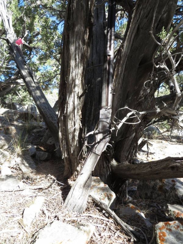 Mysterious Old Winchester Rifle Found In Nevada Park (4 pics)