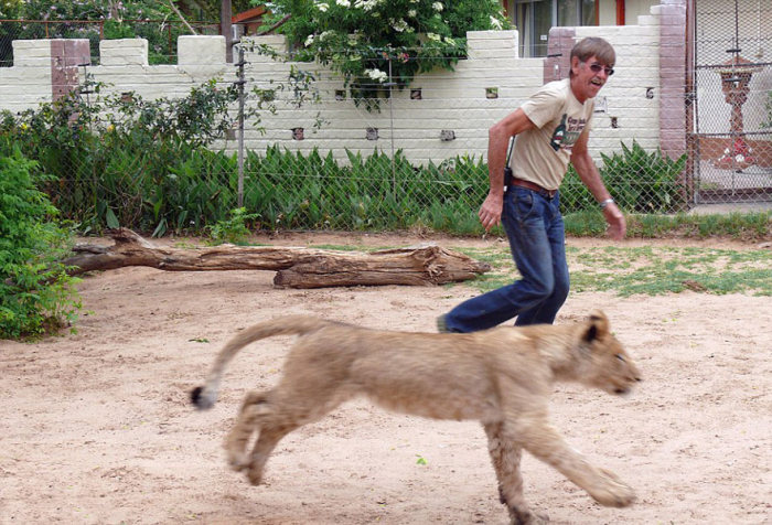 This Man And Lion Have Been Friends For 11 Years (11 pics)