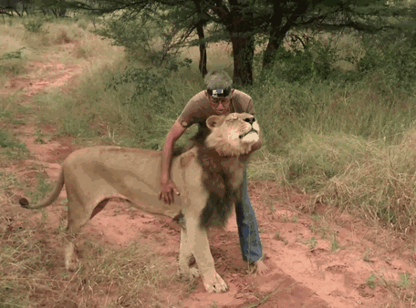 This Man And Lion Have Been Friends For 11 Years (11 pics)