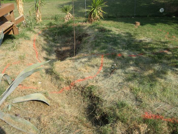 Man Turns Grief Into An Amazing Tropical Pool (30 pics)