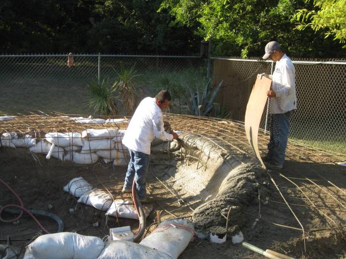 Man Turns Grief Into An Amazing Tropical Pool (30 pics)