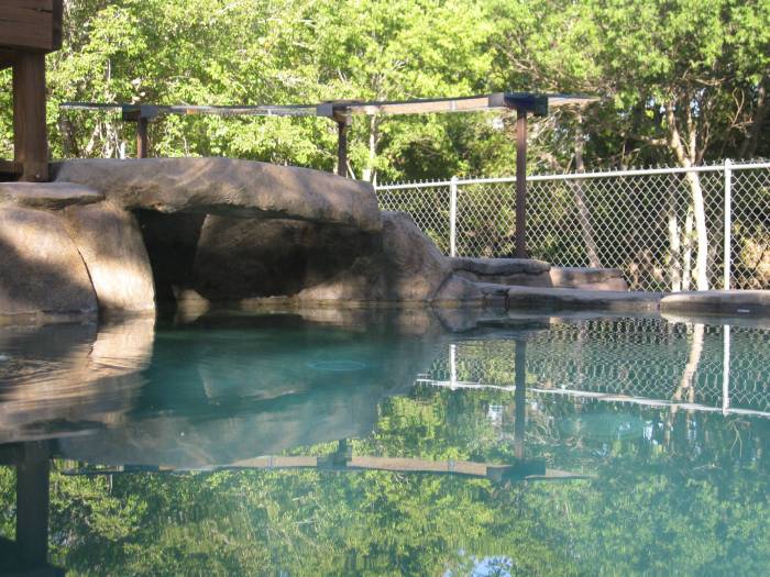 Man Turns Grief Into An Amazing Tropical Pool (30 pics)