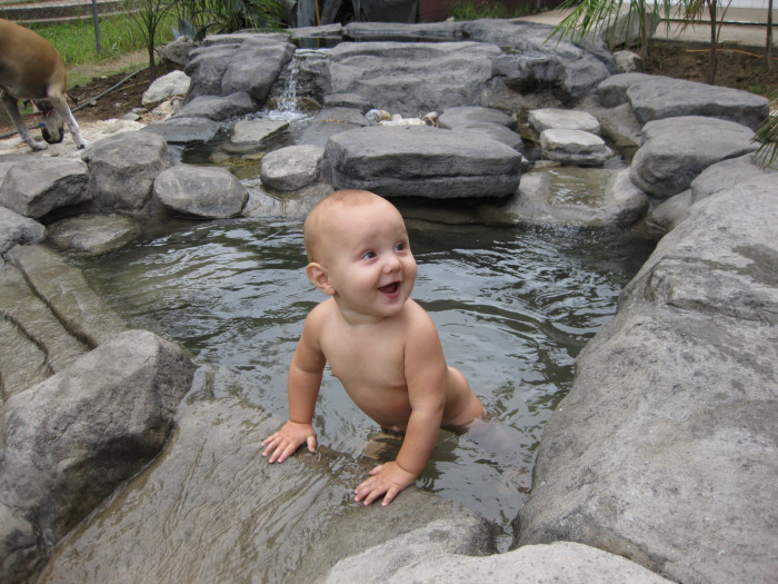 Man Turns Grief Into An Amazing Tropical Pool (30 pics)