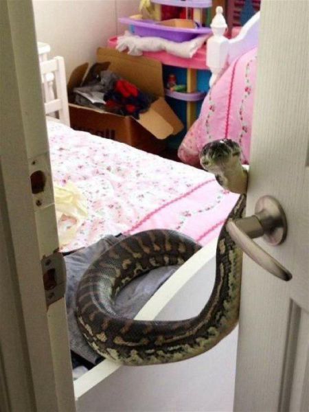 There's A Whole Lot Of Nope In Here (44 pics)