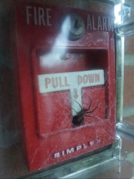 There's A Whole Lot Of Nope In Here (44 pics)