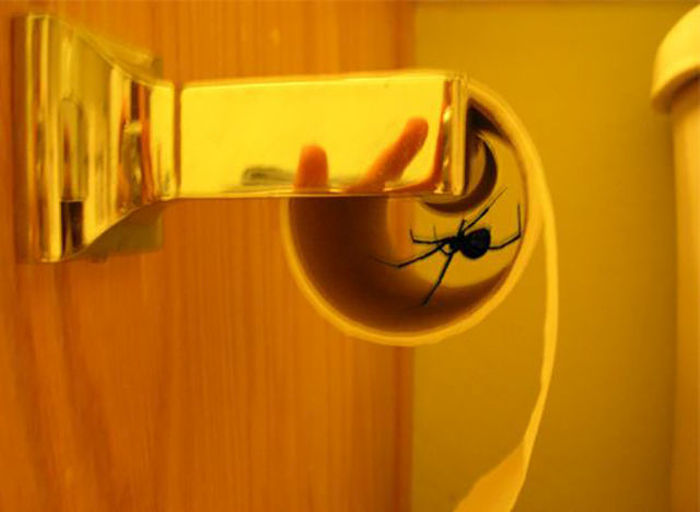 There's A Whole Lot Of Nope In Here (44 pics)