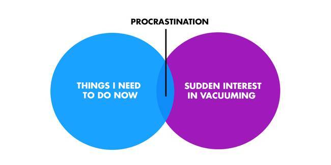 Venn Diagrams That Are Honest And Hilarious (29 pics)