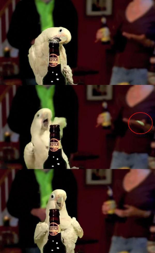 How To Turn Pretty Much Anything Into A Bottle Opener (14 pics)