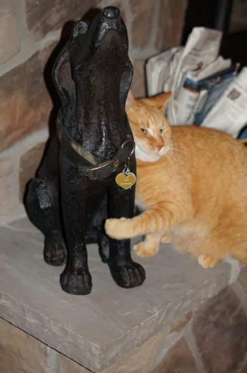 The Cat Reacts To Statue Of A Dead Dog