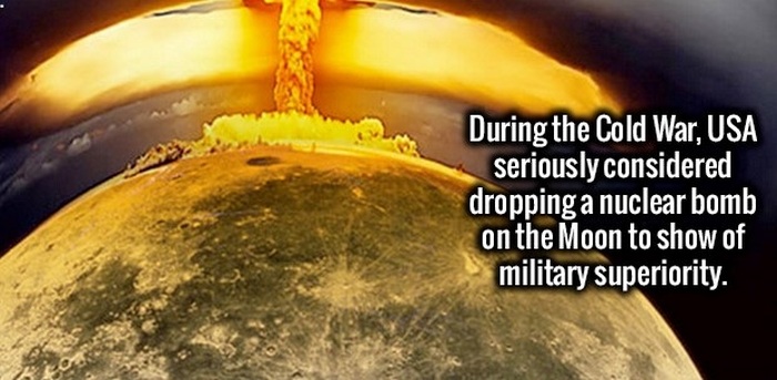More Fun Facts Your Brain Wants To Know (34 pics)