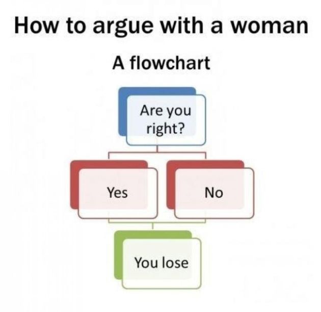 Women Logic (23 pics)