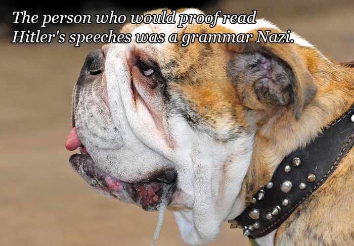 Funny Quotes Over Pictures Of Drooling Animals (14 pics)