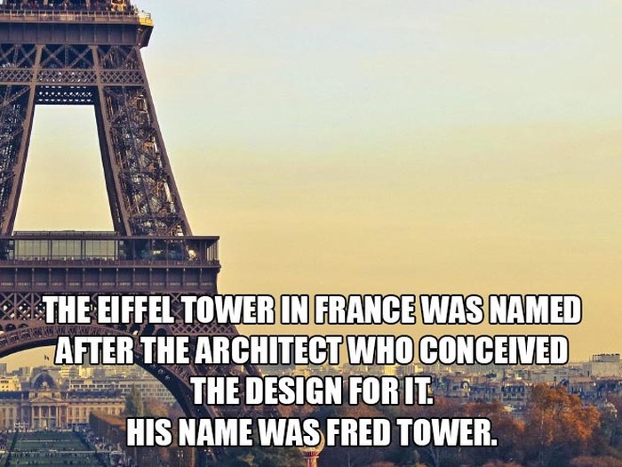 These Facts May Or May Not Be True (15 pics)