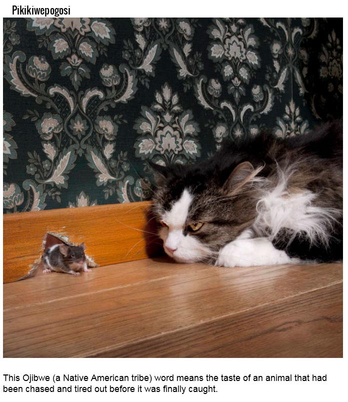 15 Foreign Words That Describe Something Very Specific (15 pics)