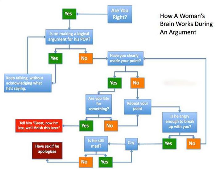 Proof That It's Impossible To Understand Women (16 pics)