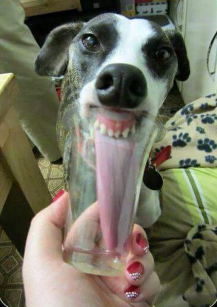 Acid Picdump (106 pics)