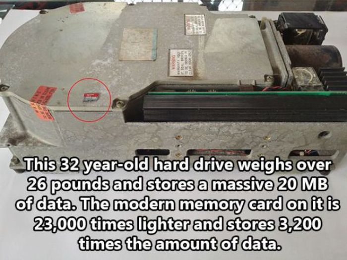 Facts About The Human Race (32 pics)