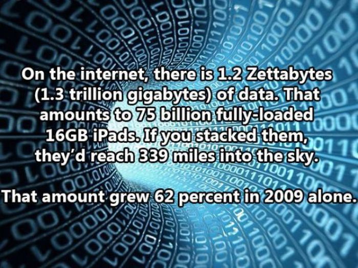 Facts About The Human Race (32 pics)