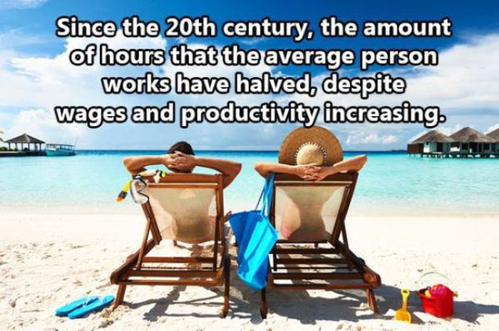 Facts About The Human Race (32 pics)
