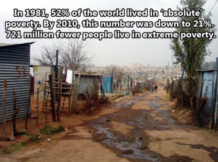Facts About The Human Race (32 pics)