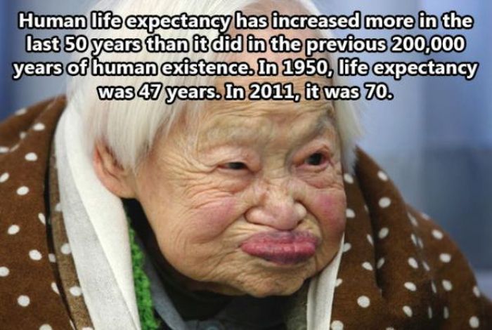 Facts About The Human Race (32 pics)
