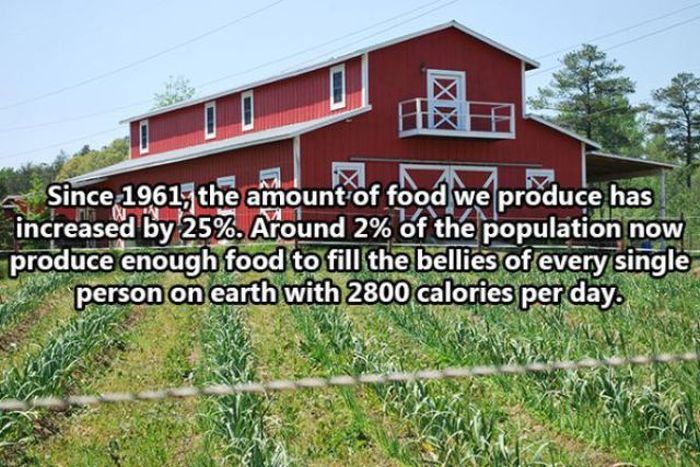 Facts About The Human Race (32 pics)