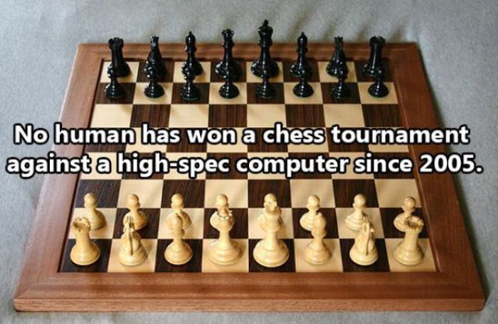 Facts About The Human Race (32 pics)
