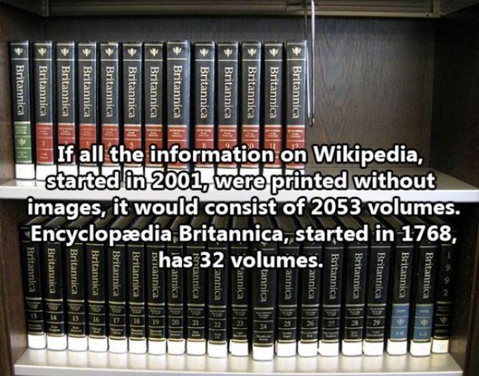 Facts About The Human Race (32 pics)