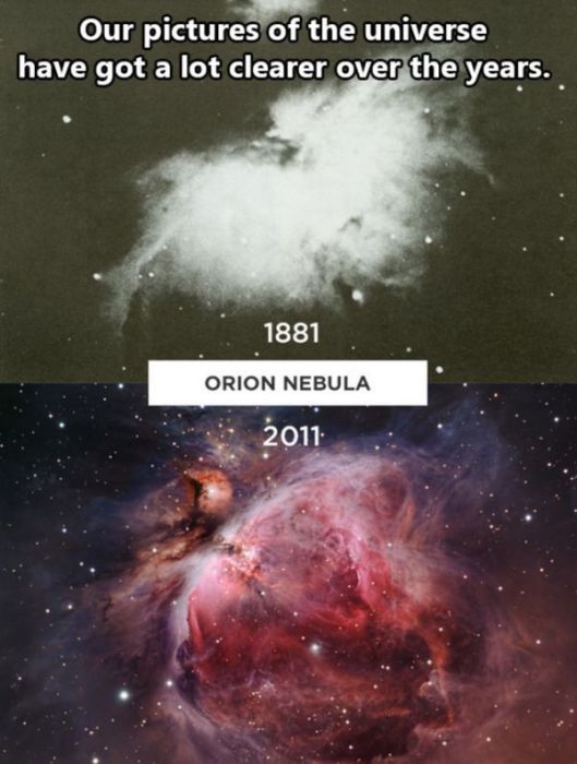 Facts About The Human Race (32 pics)
