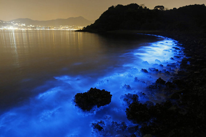 Bioluminescent Plankton On The Shores Of Hong Kong (4 pics)