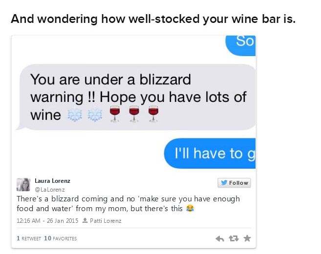 These Moms Are Taking This Big Snow Storm Very Seriously (16 pics)