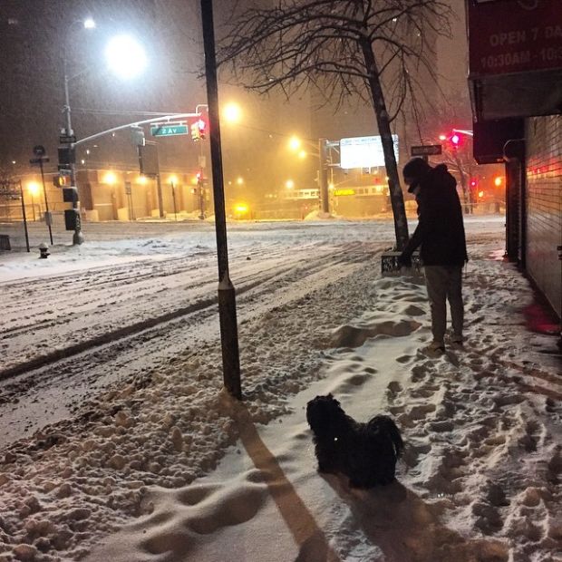 Winter Storm Juno Has Covered The East Coast In Snow (24 pics)