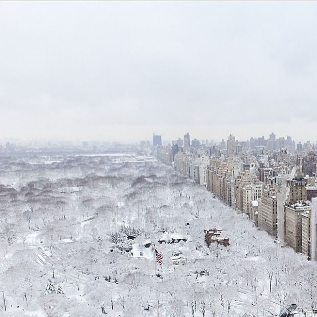 Winter Storm Juno Has Covered The East Coast In Snow (24 pics)