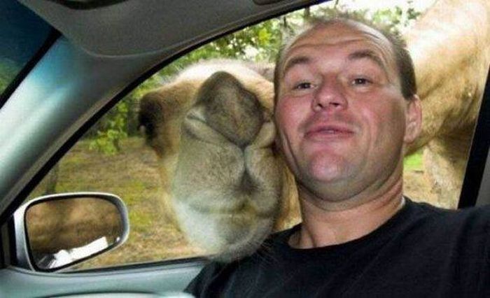 These Animals Just Want To Take A Selfie (20 pics)