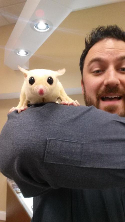 These Animals Just Want To Take A Selfie (20 pics)