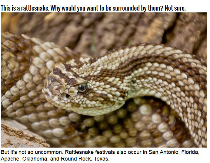Sweetwater, Texas Loves Rattlesnakes (8 pics)