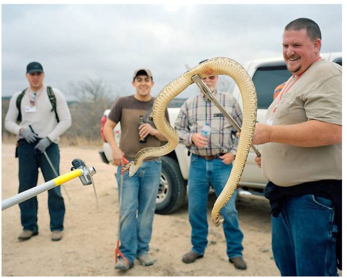 Sweetwater, Texas Loves Rattlesnakes (8 pics)