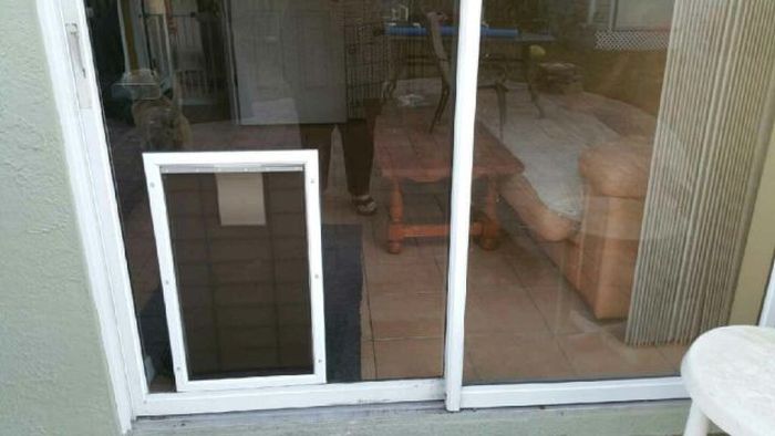 Things Didn't Work Out So Well For This Doggy Door (3 pics)