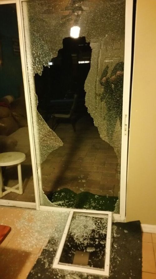 Things Didn't Work Out So Well For This Doggy Door (3 pics)