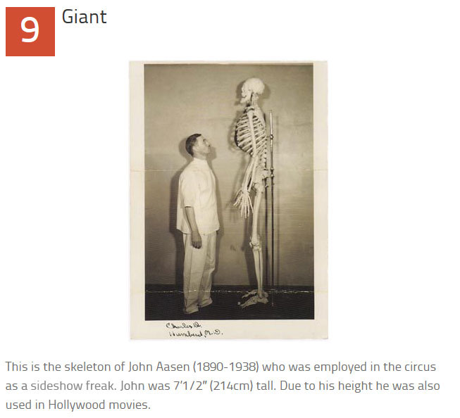 10 Disturbing Medical Images Throughout History (10 pics)