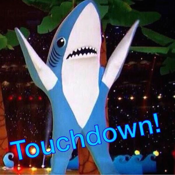 The Best Memes From Super Bowl XLIX (23 pics)