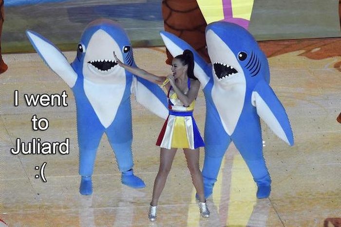 The Best Memes From Super Bowl XLIX (23 pics)
