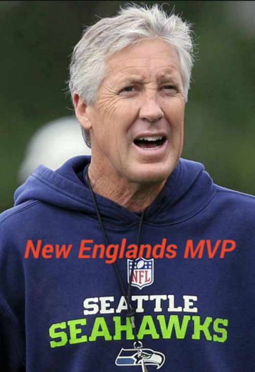 The Best Memes From Super Bowl XLIX (23 pics)